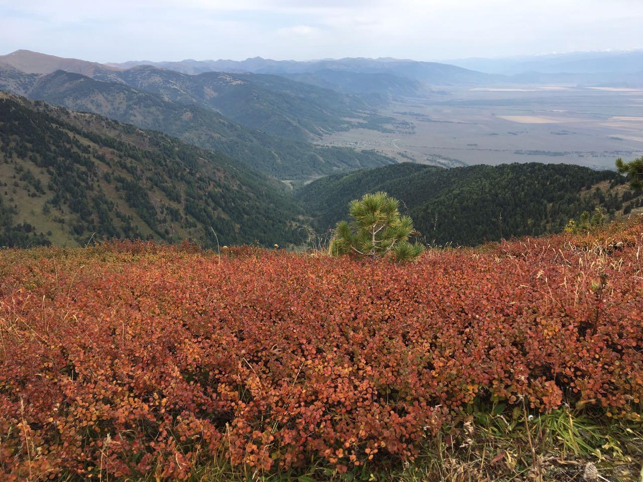 Башталинское плато