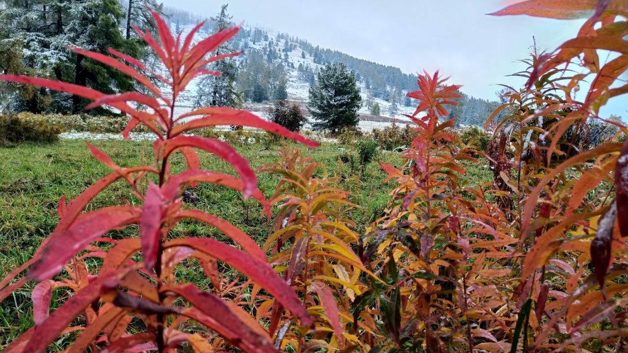 Красная гора первый снег