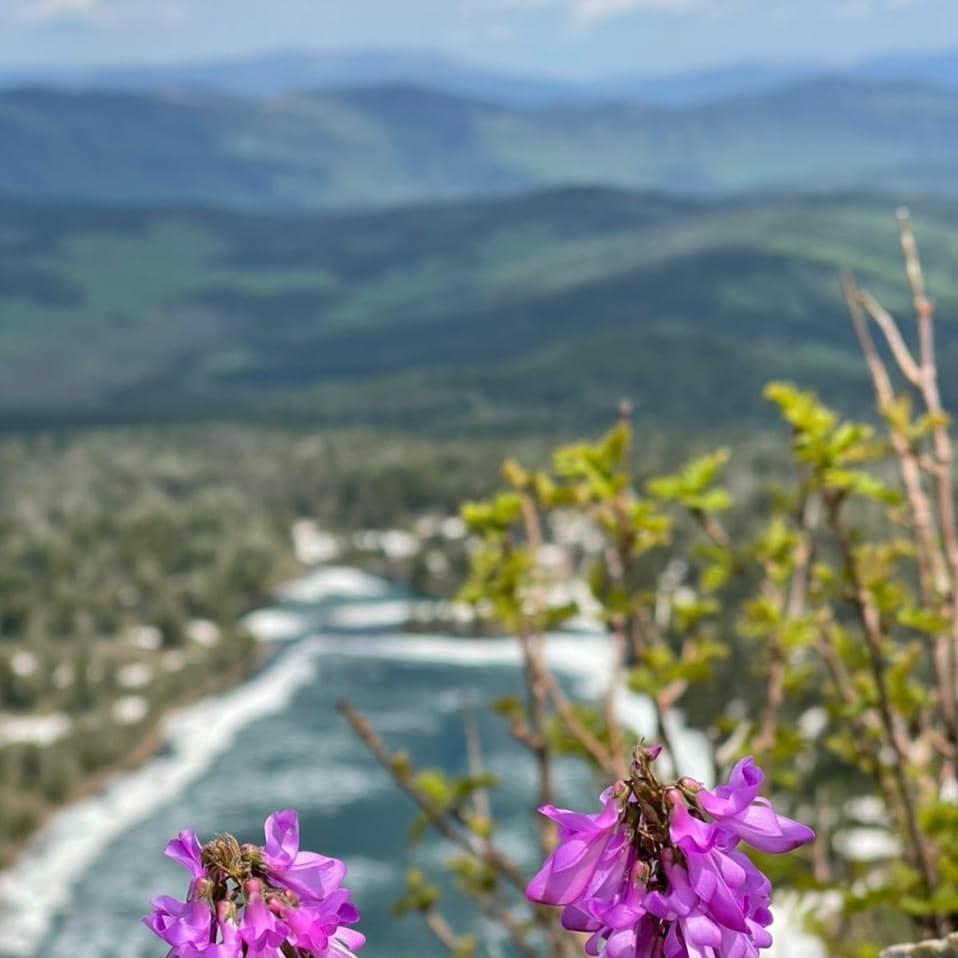 Красная гора (начало июня)
