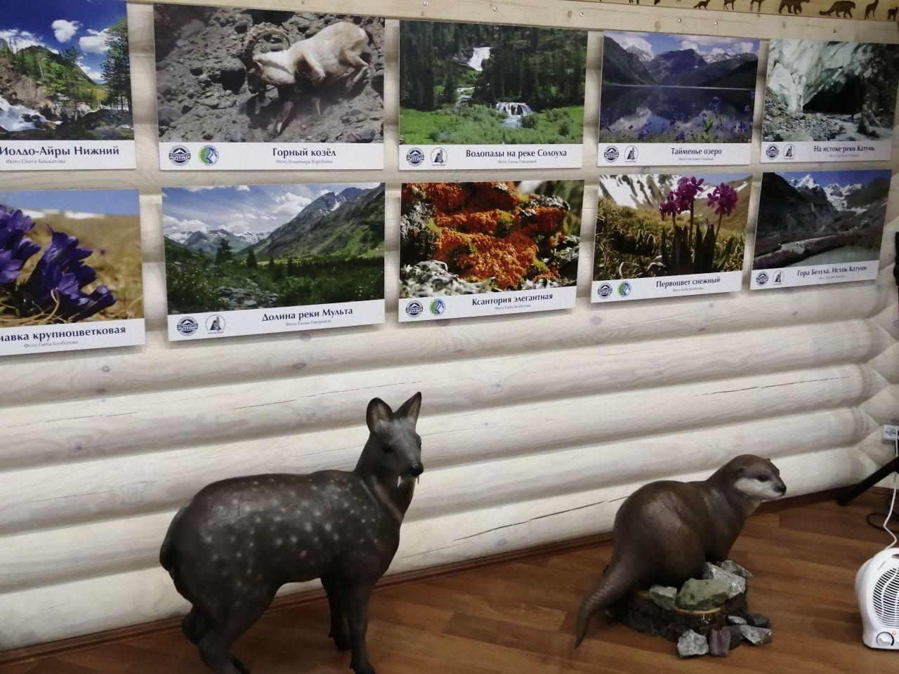 Визит-Центр Катунского заповедника