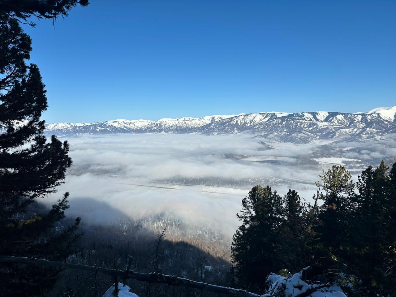 Филаретка в ноябре