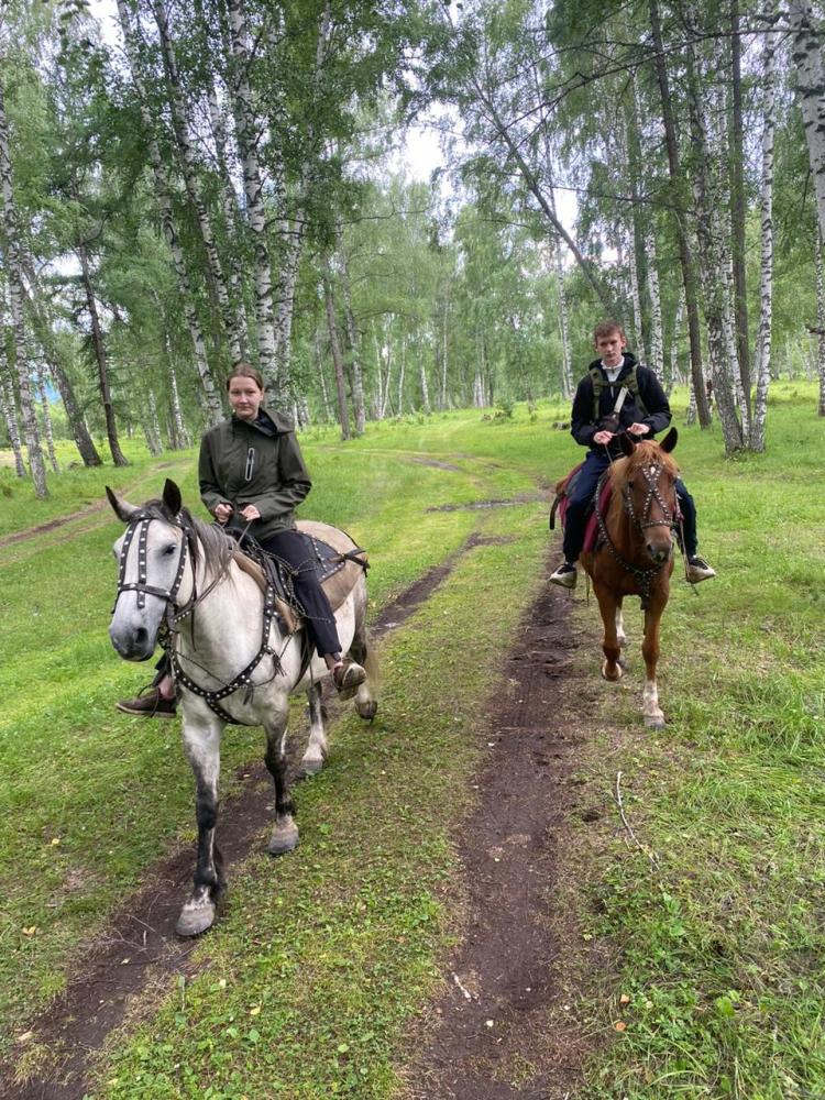 Прогулки на лошадях