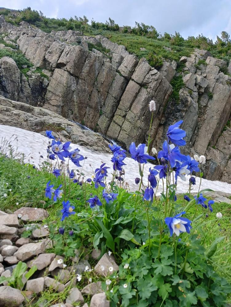 Красная гора