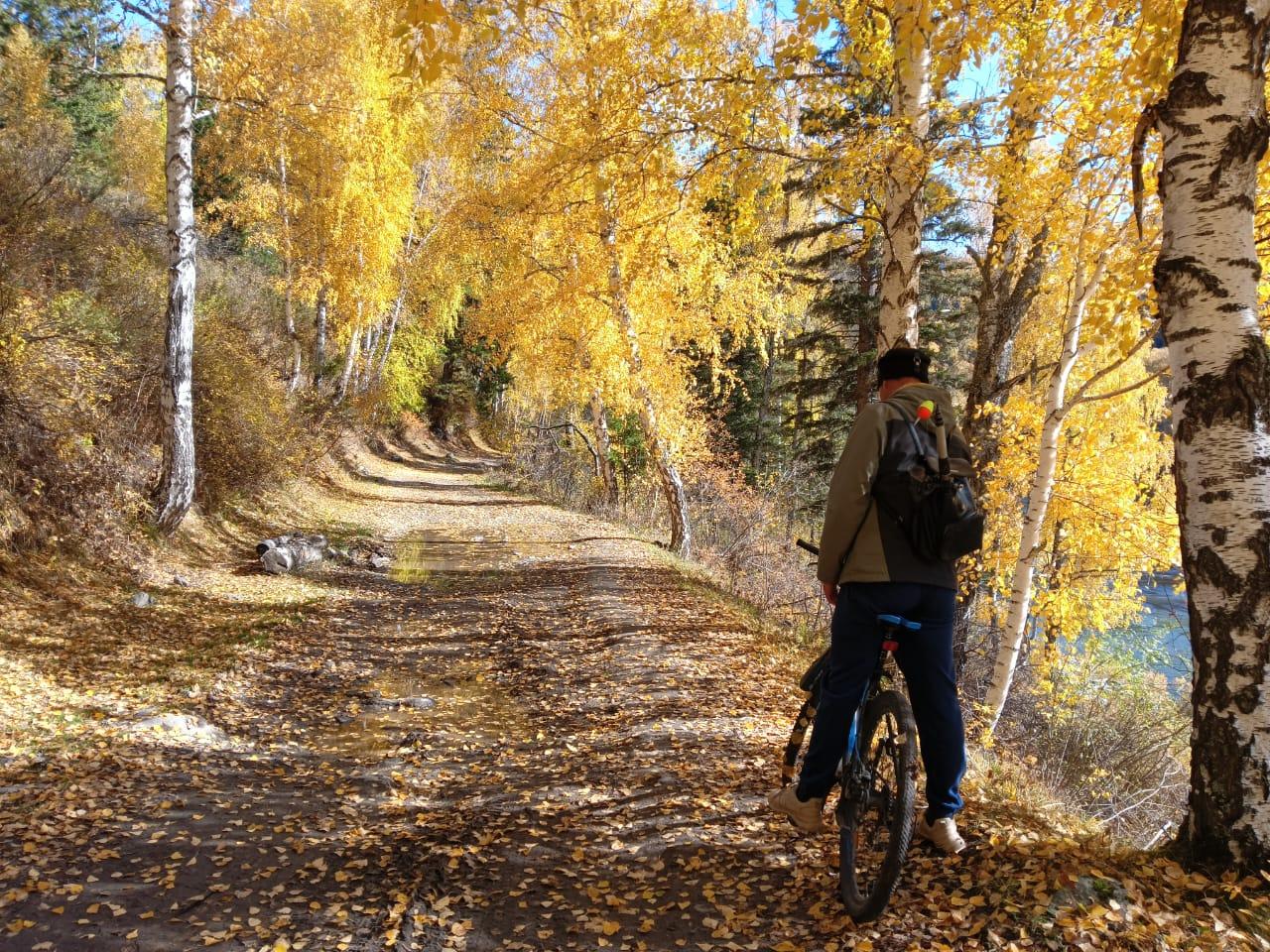 Прогулки на велосипедах