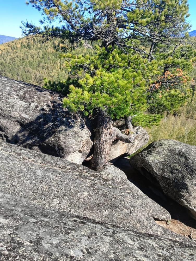 Гладкий камень