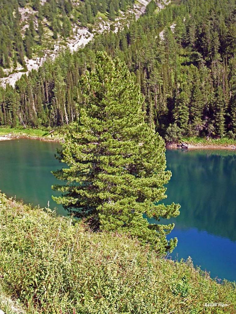 Чендекское озеро