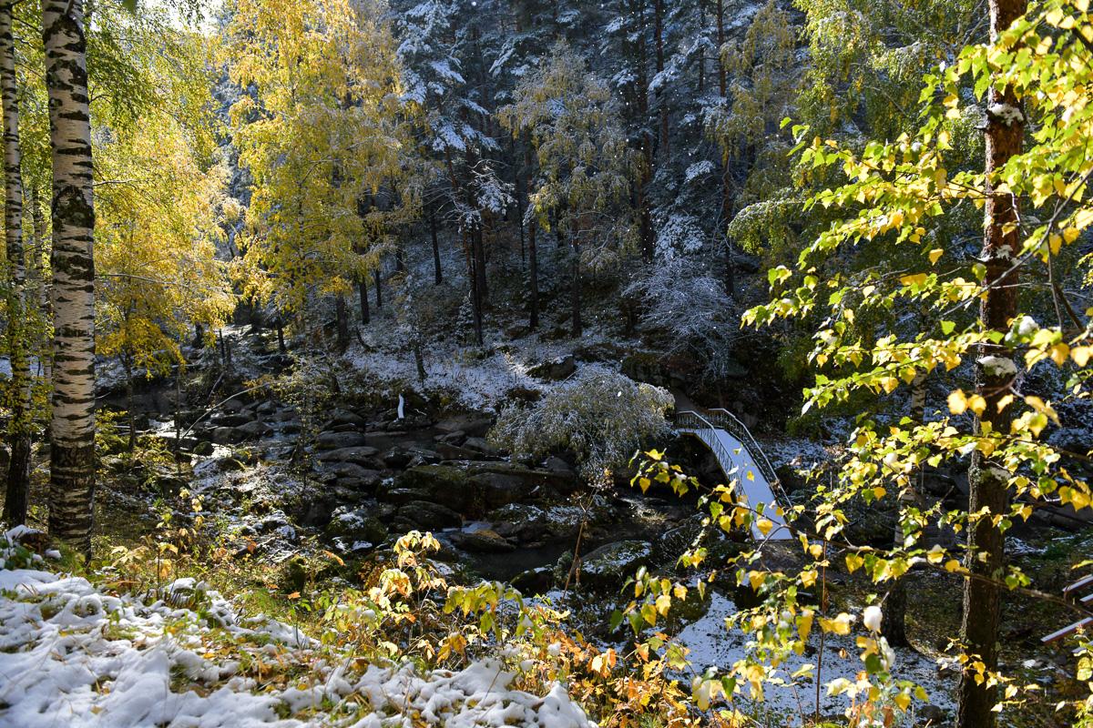 Курорт Белокуриха отдых 2023