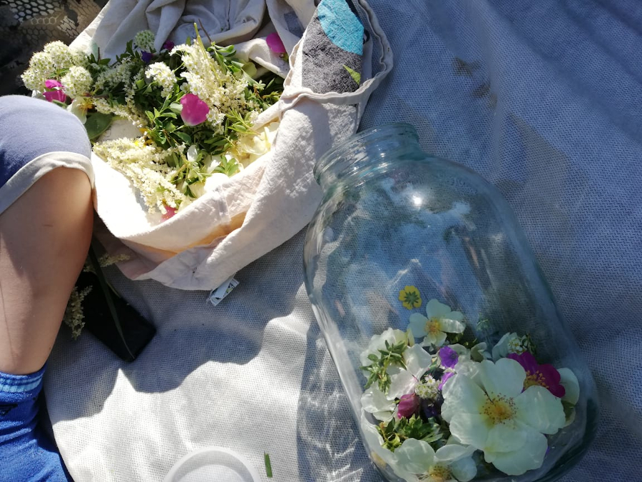 Встреча с травником