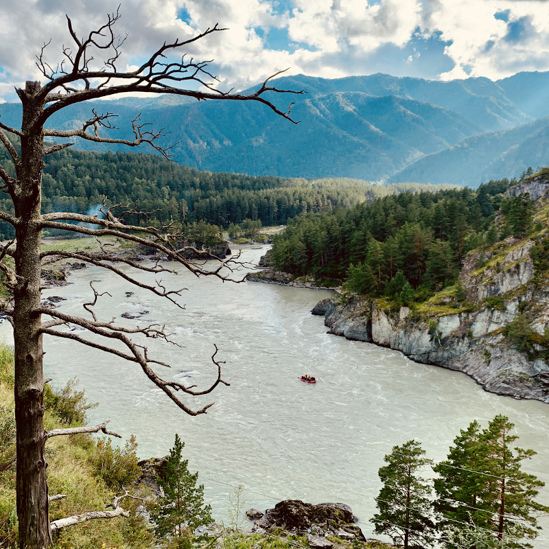 Вид на Катунь с Козьей тропы