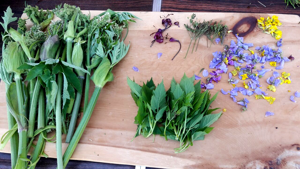 Встреча с травником