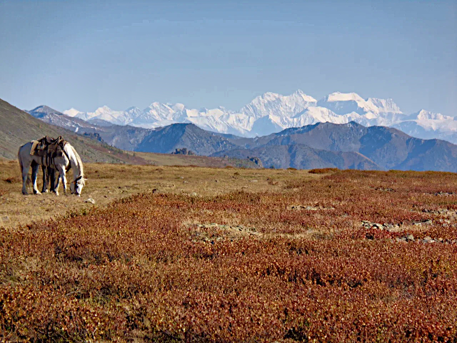 Путешествие по Теректинскому хребту