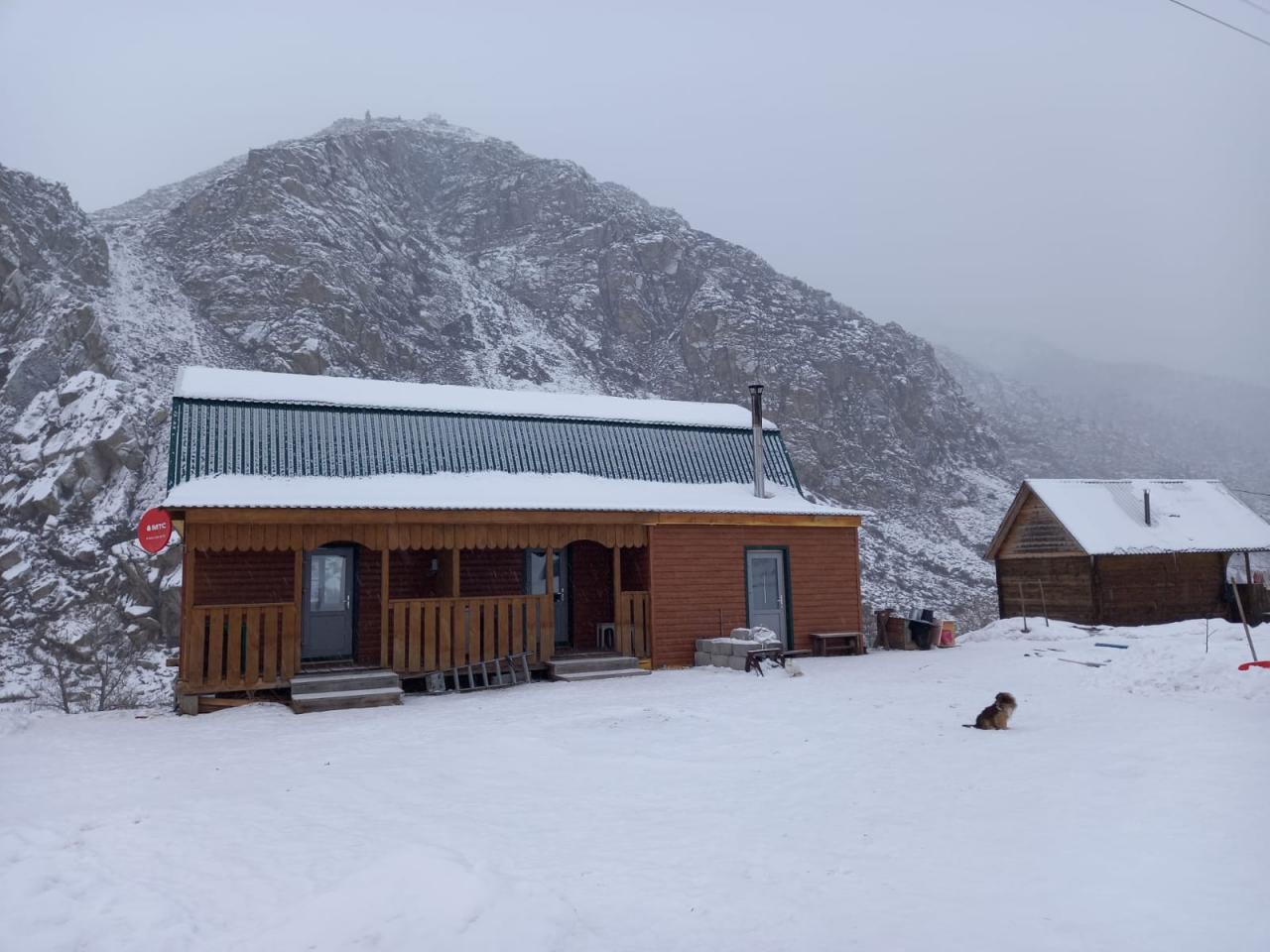 Купчегень Дом с благоустроенными номерами 3 и 5 мест