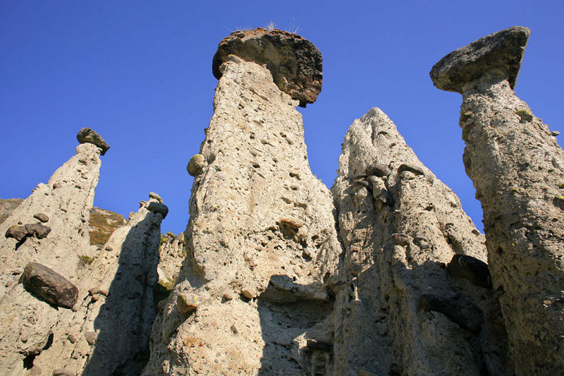 Каменные грибы в Горном Алтае