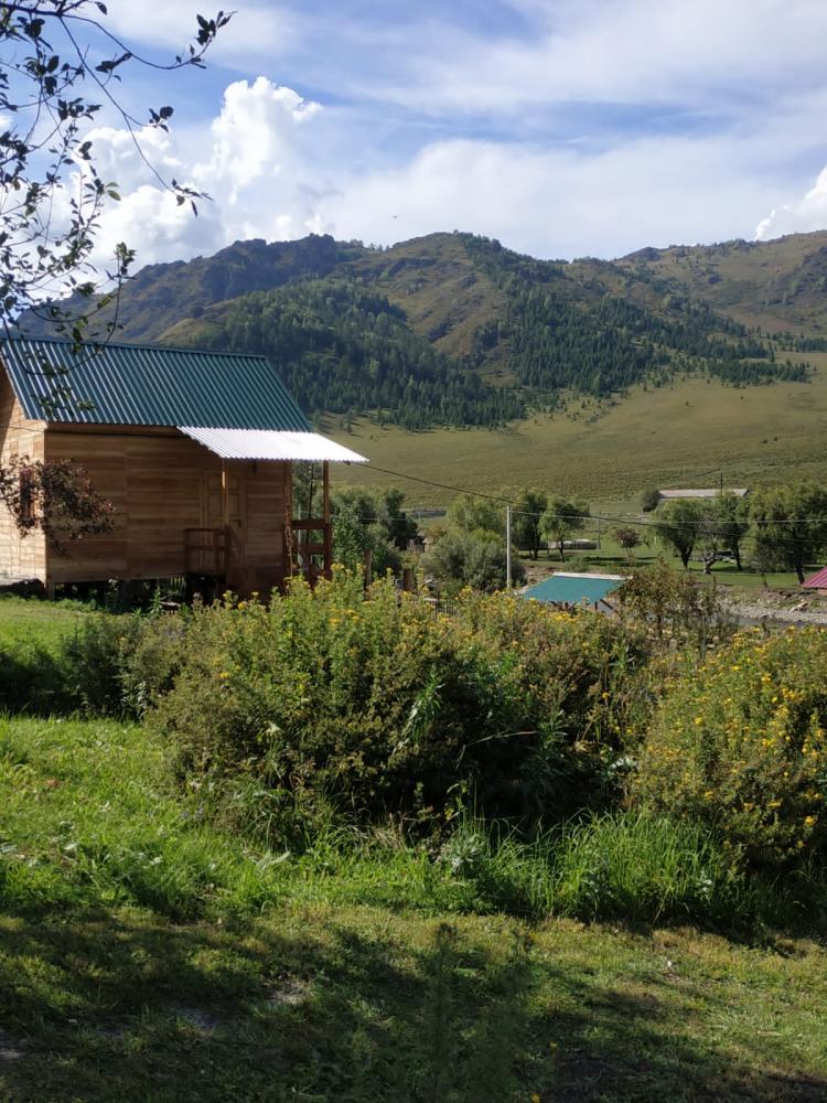 Горный Чарыш База отдыха "Светлая" село Сентелек