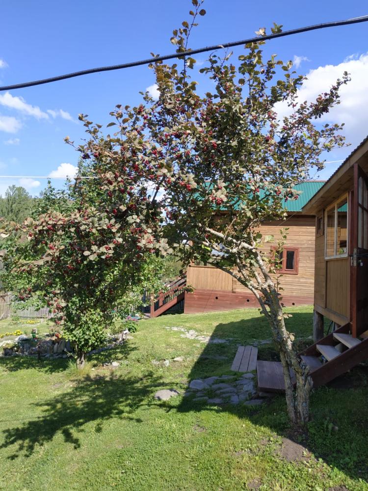 Отдых Сентелек база отдыха "Светлая"