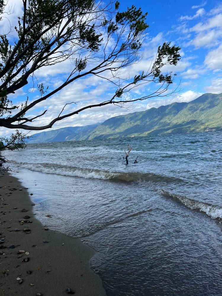 Летний отдых на юге  Телецкого озера