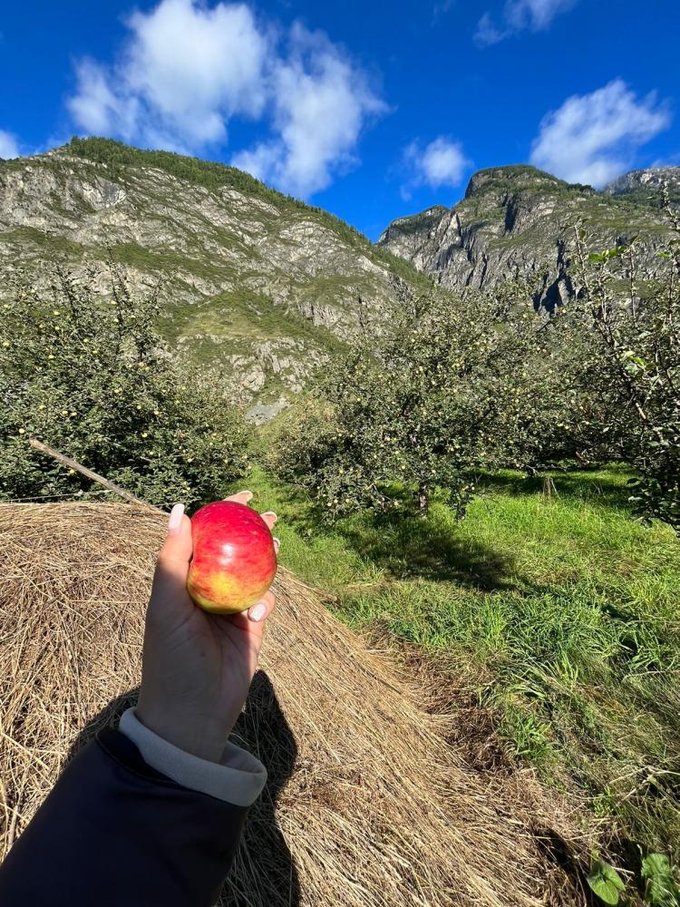 Экскурсии на юг Телецкого озера