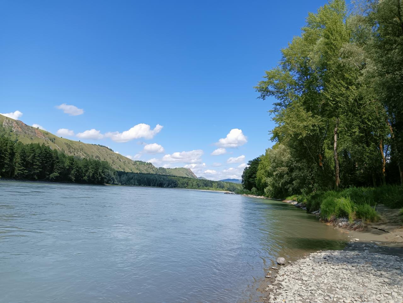 река Катунь в 5 минутах пешком