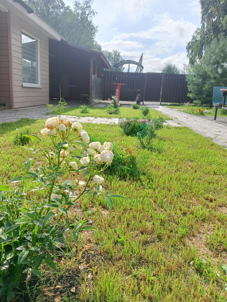 территория базы