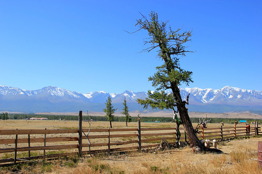 Вид с базы на Актру и Северо-Чуйский хребет