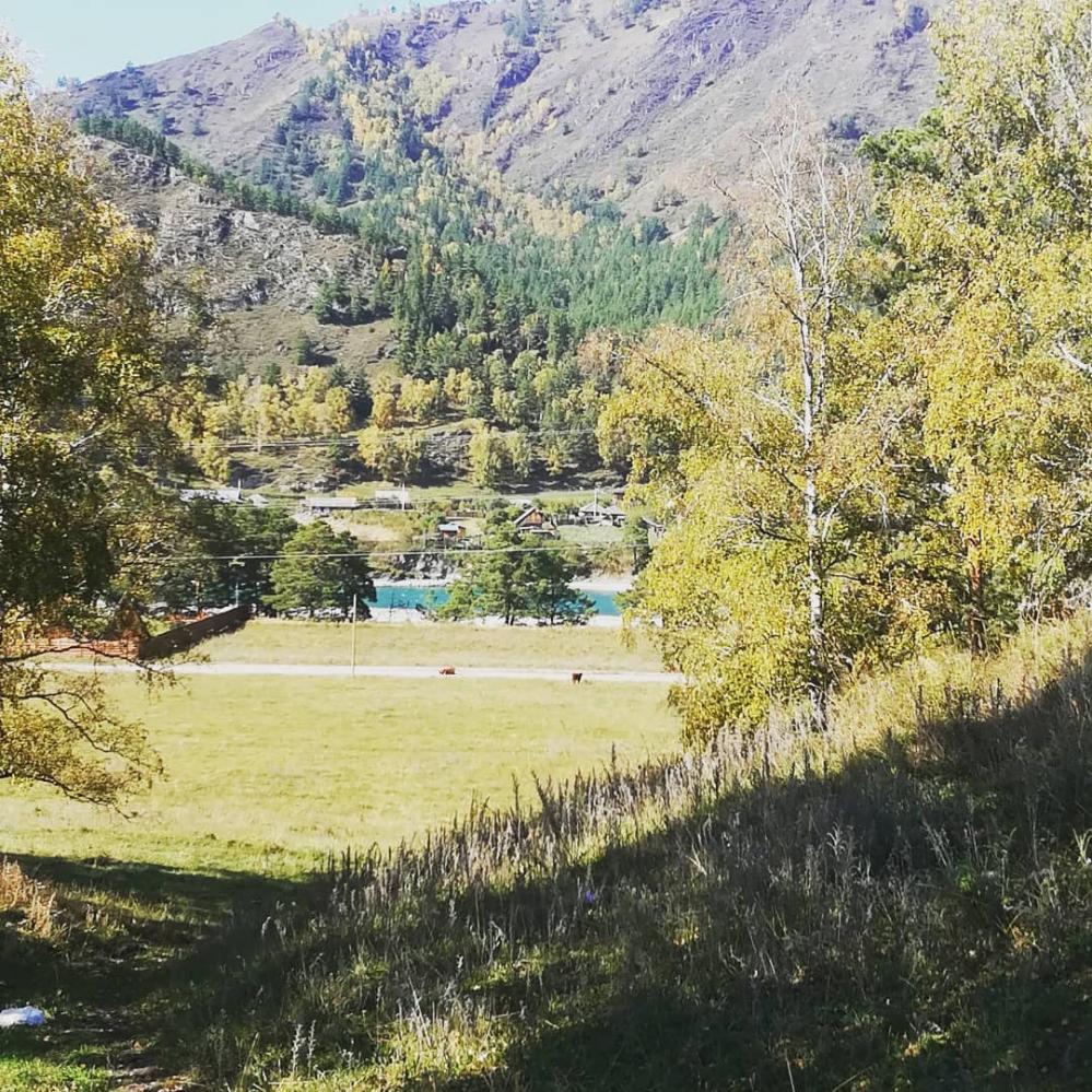 "Шале Легенда" отдых в Чемале 