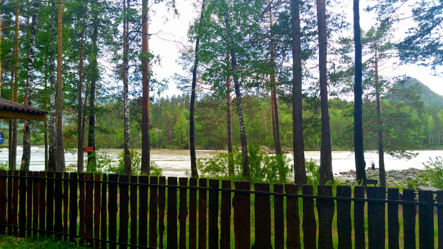 Берег Катуни сразу за оградой