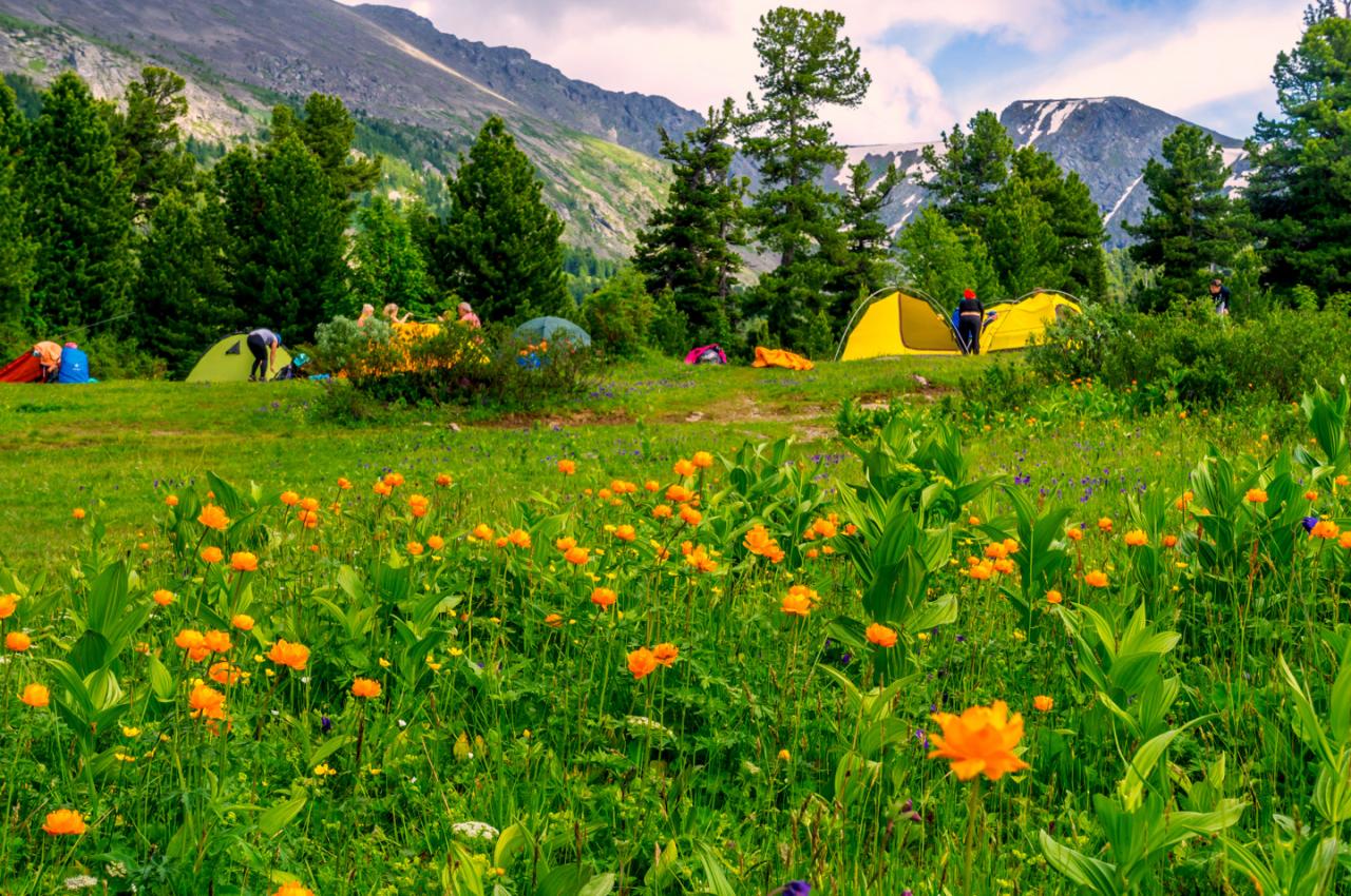 Тур на Каракольские озера 2025 на Алтай