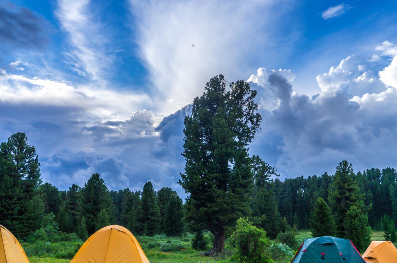 Тур на Алтай Каракольские озера 2025