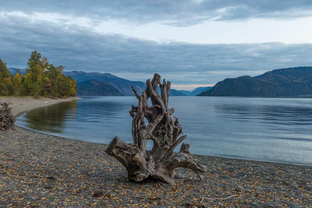 Отдых на Юге Телецкого озера ЮБТО
