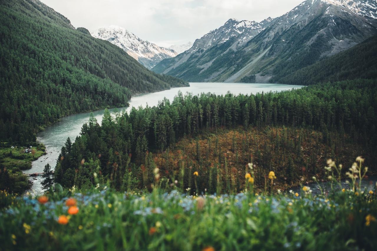 Поход на Алтай к горе Белуха 2025