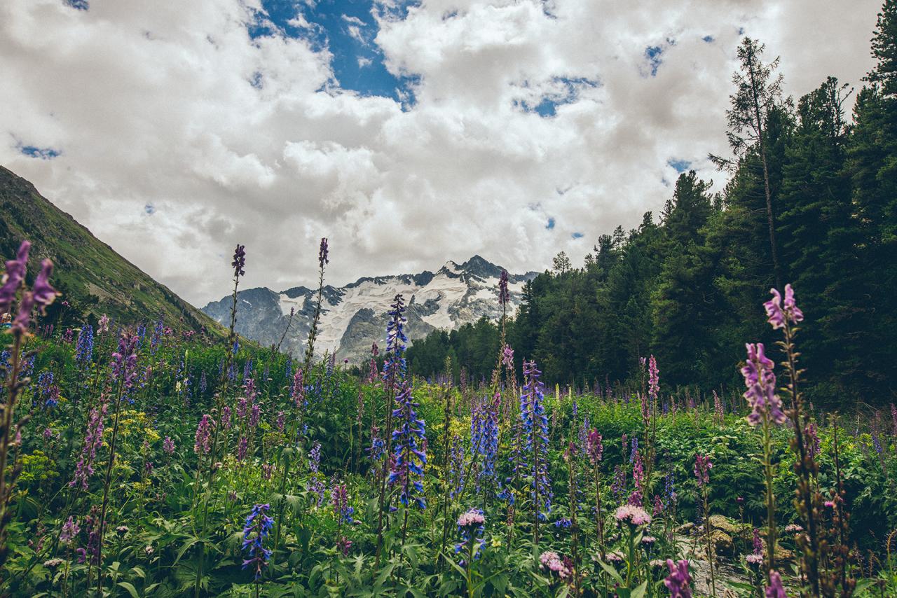 Поход с рюкзаками на Алтай Мультинские озера