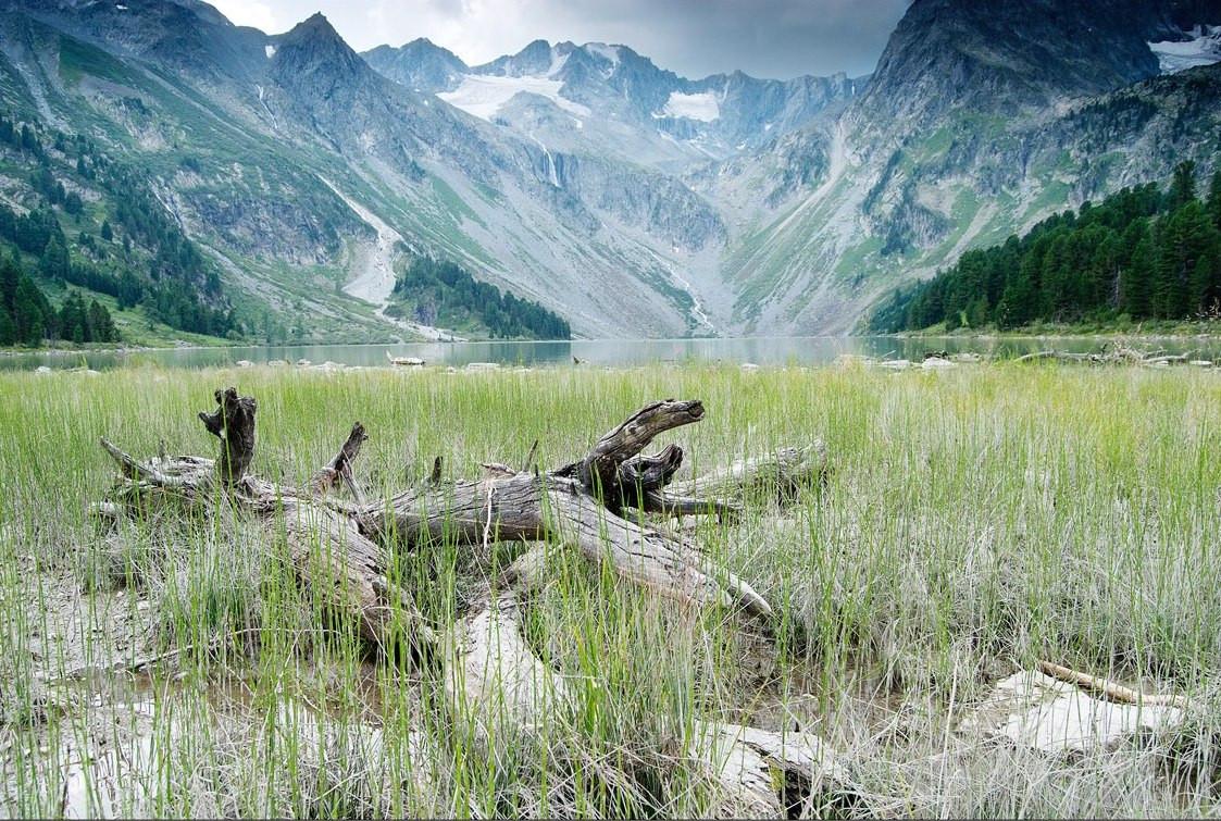 Пешие туры по Горному Алтаю 2025