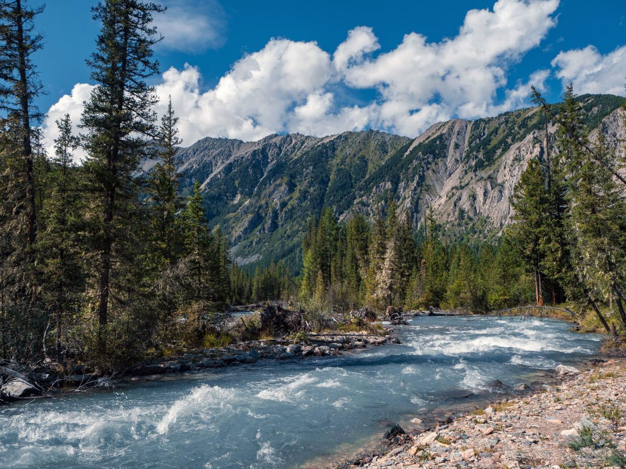 Река  Чуя Тур на Шавлинские озера из Новосибирска 