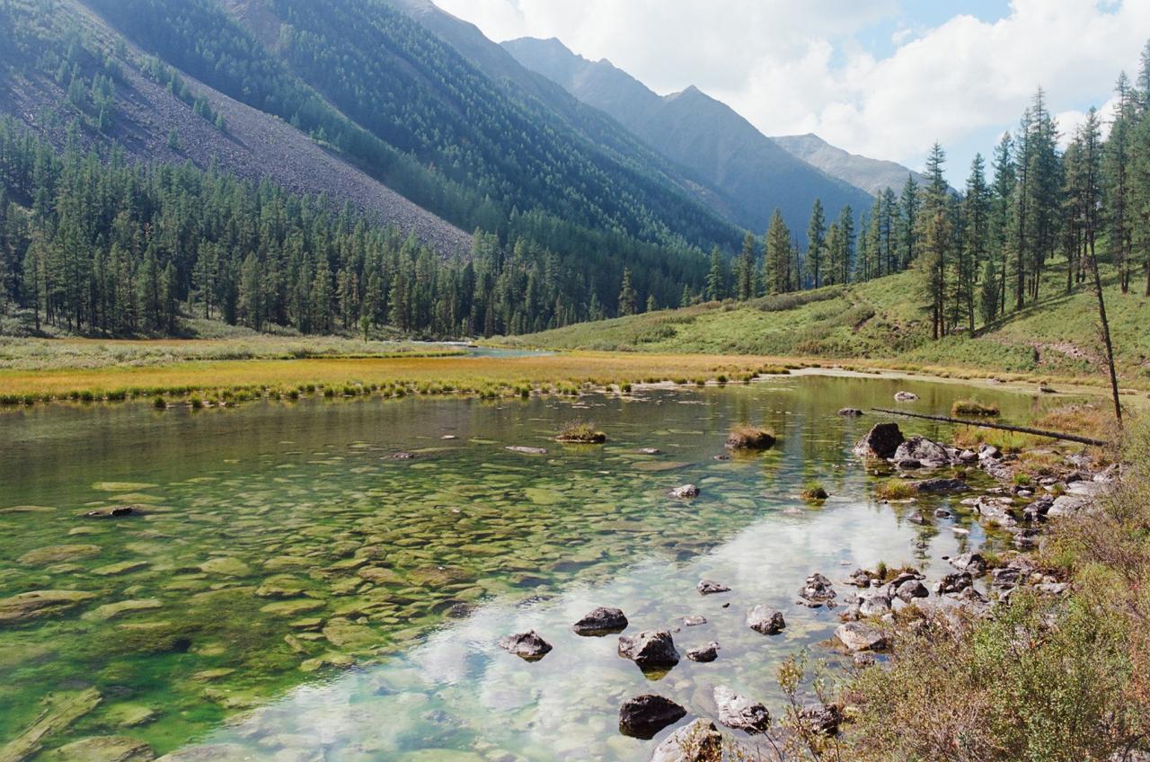 Конный маршрут на Алтай 2025