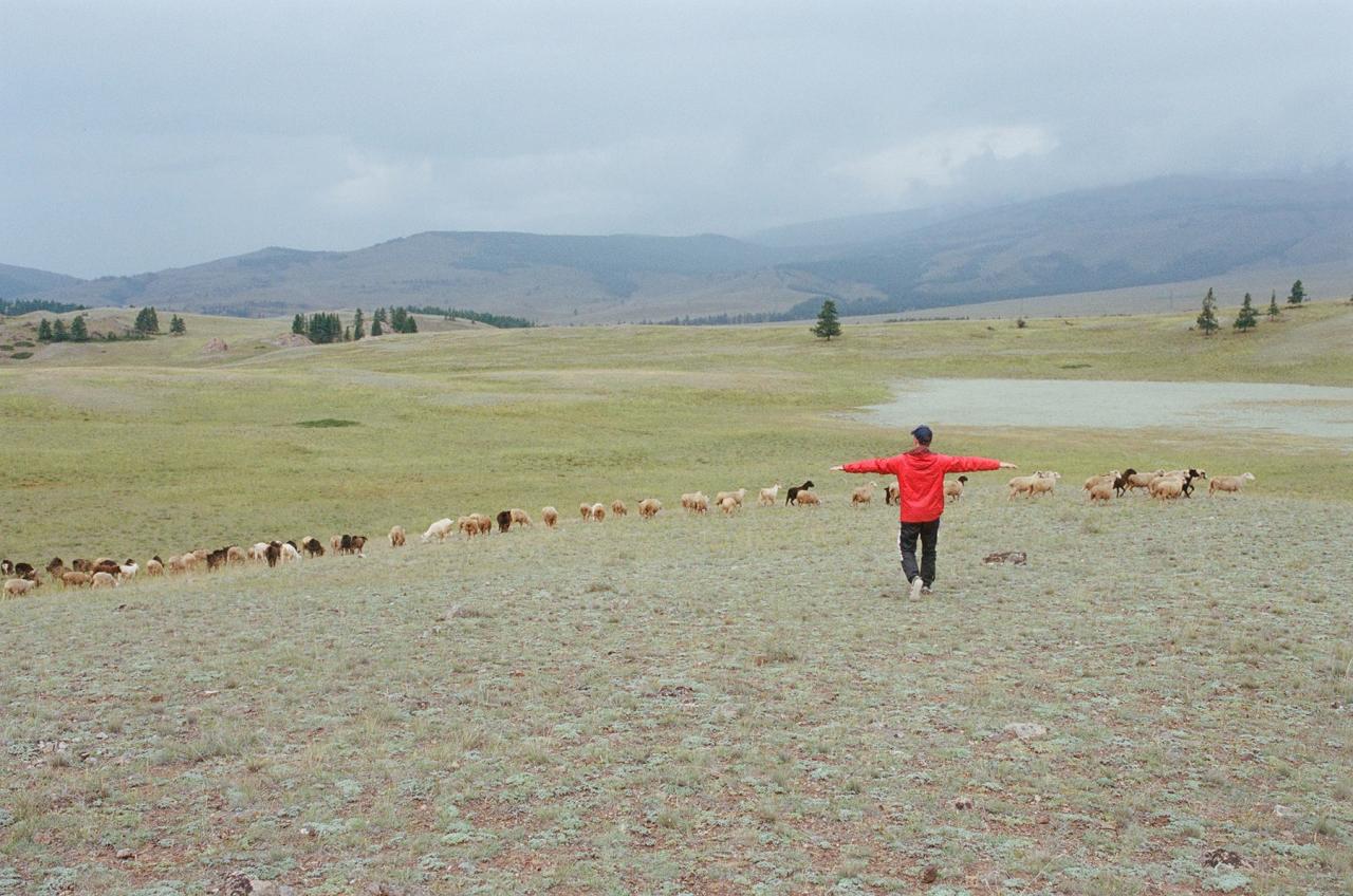 Тур в Горный Алтай летом 2025