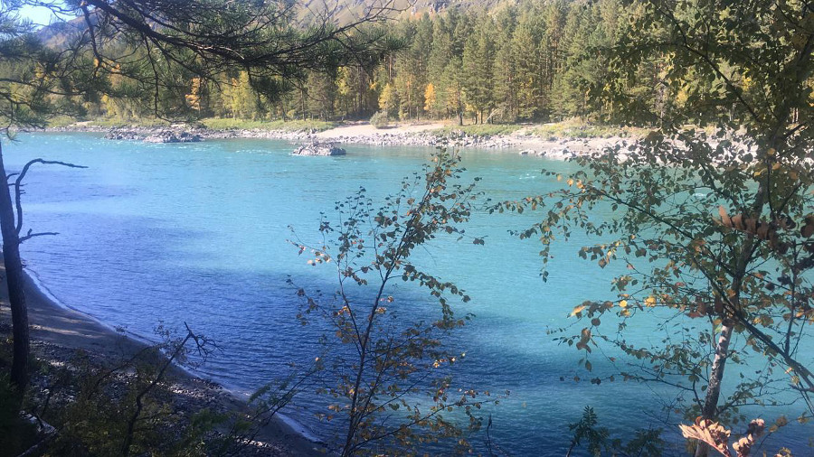 Река Катунь в районе Соузги