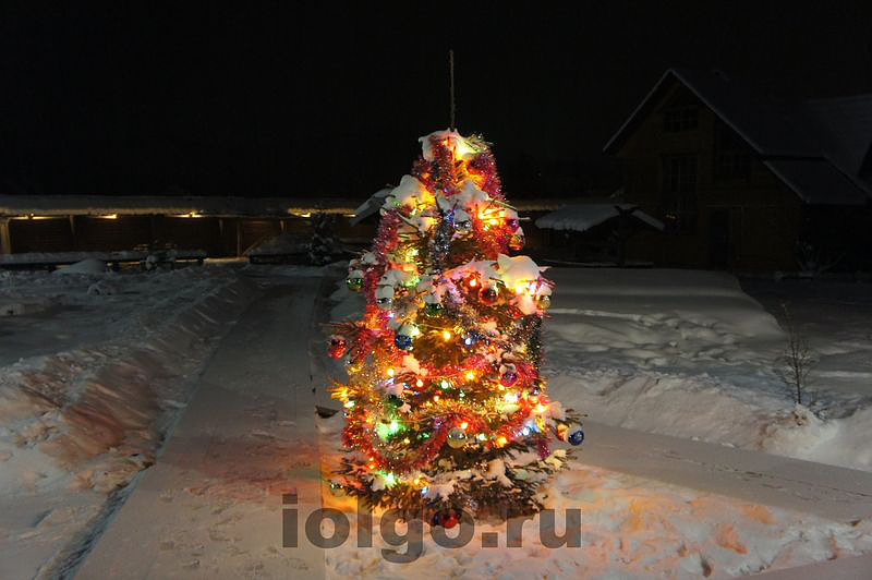 Новый год в Усадьбе «Иолго» 