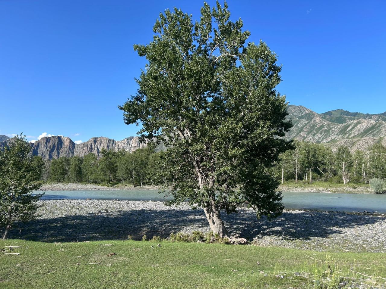 окрестность усадьбы "Ижемди" 