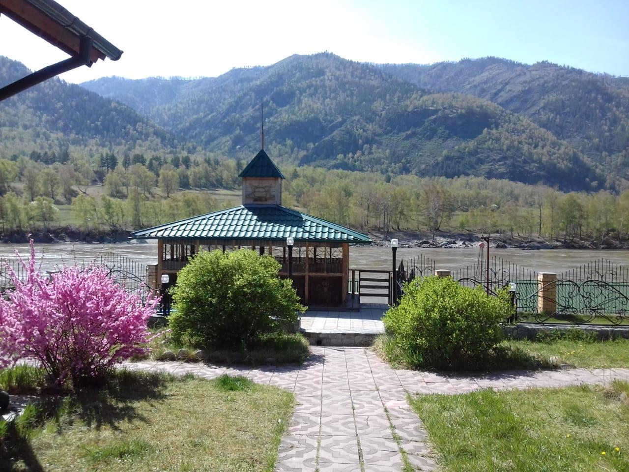 Чемал отдых у реки Катунь