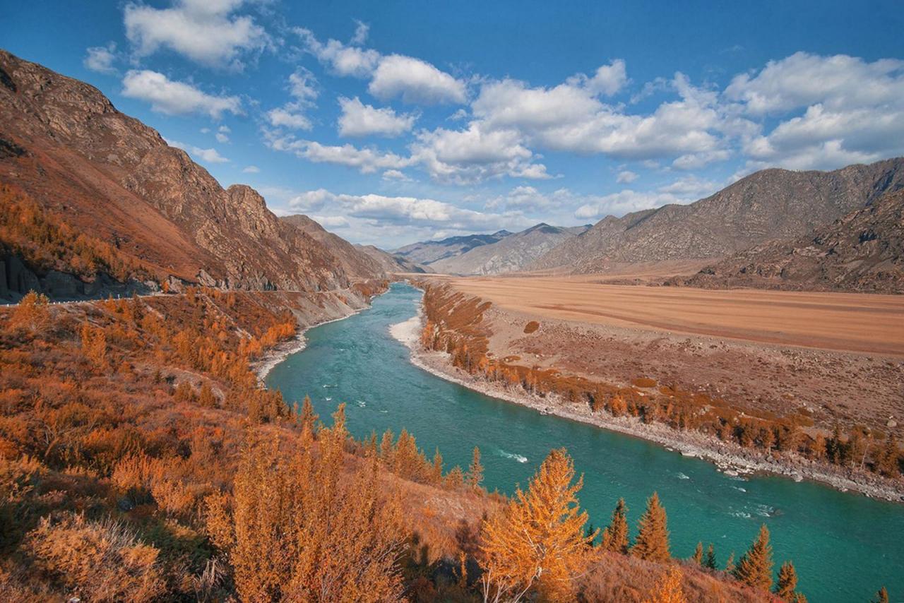 Индивидуальные туры на Алтай 2025 и в Монголию