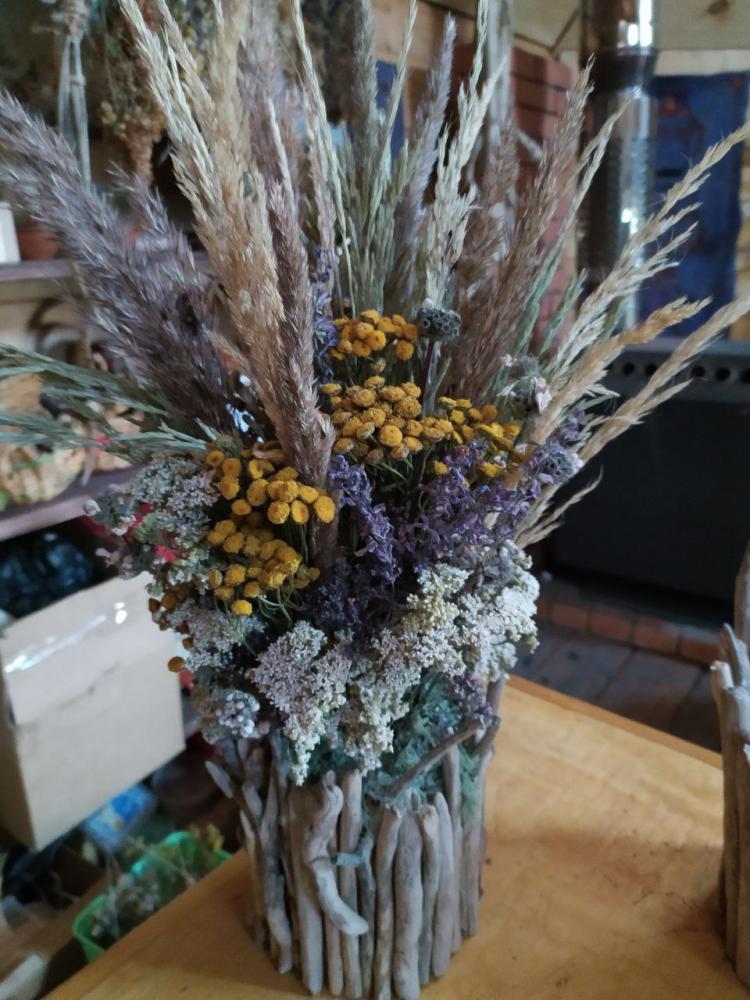 флористика