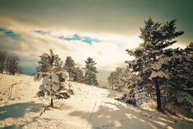 Экскурсия на гору Черепан