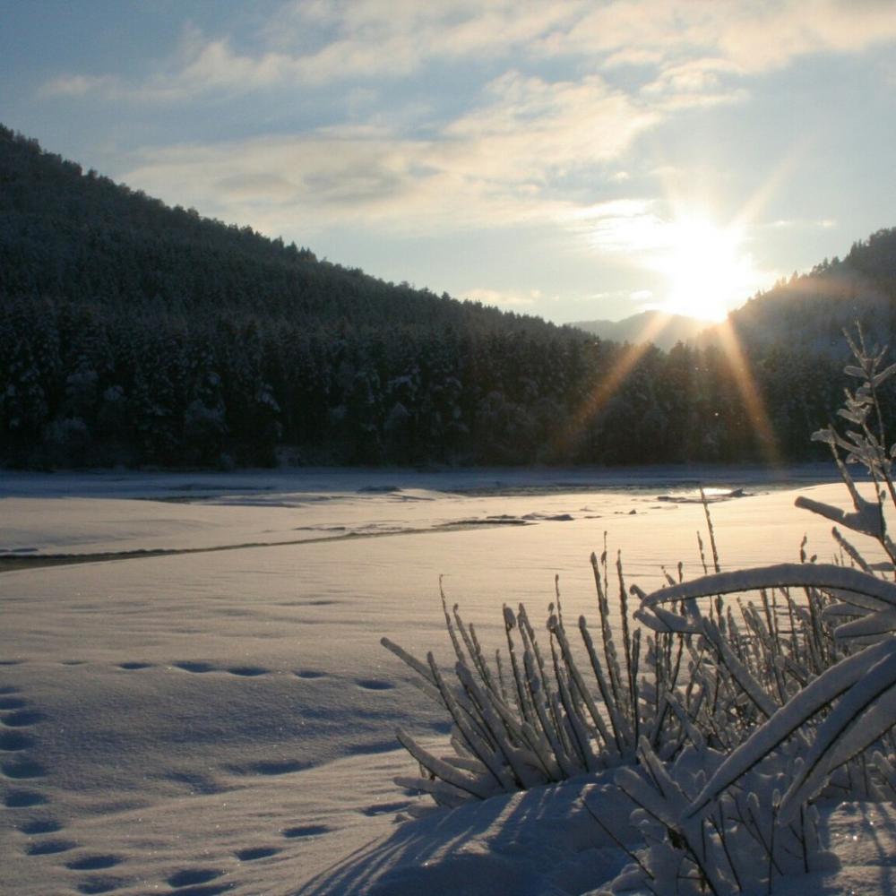 Река Катунь