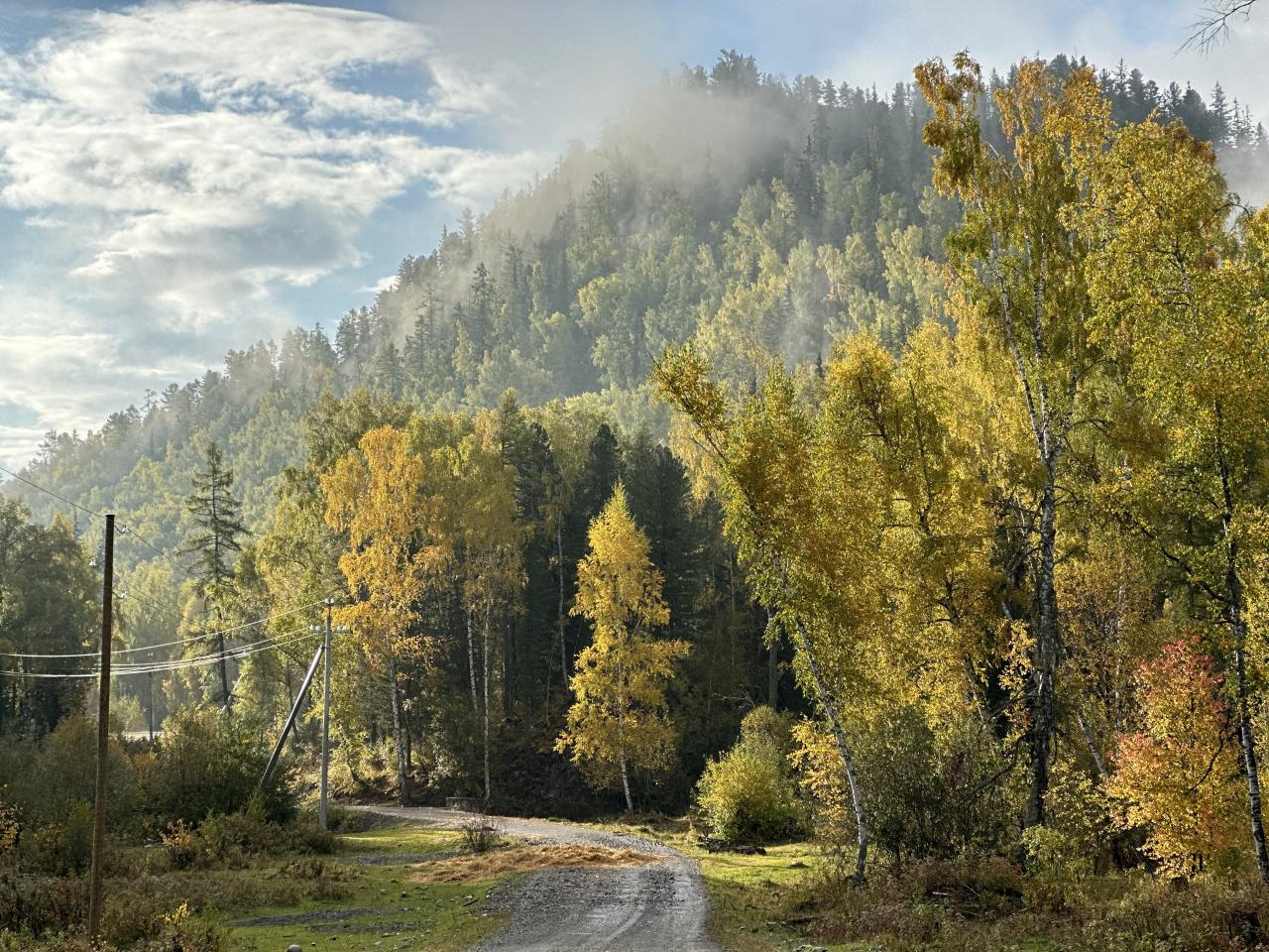 Красочная природа в августе и сентябре. Золотая осень на Алтае.