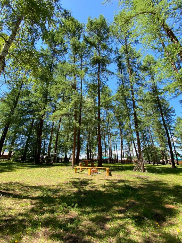 Палаточный кемпинг в Мульте