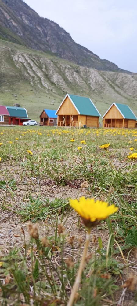 Турбаза "Усть-Чульча" в Чулышманской долине