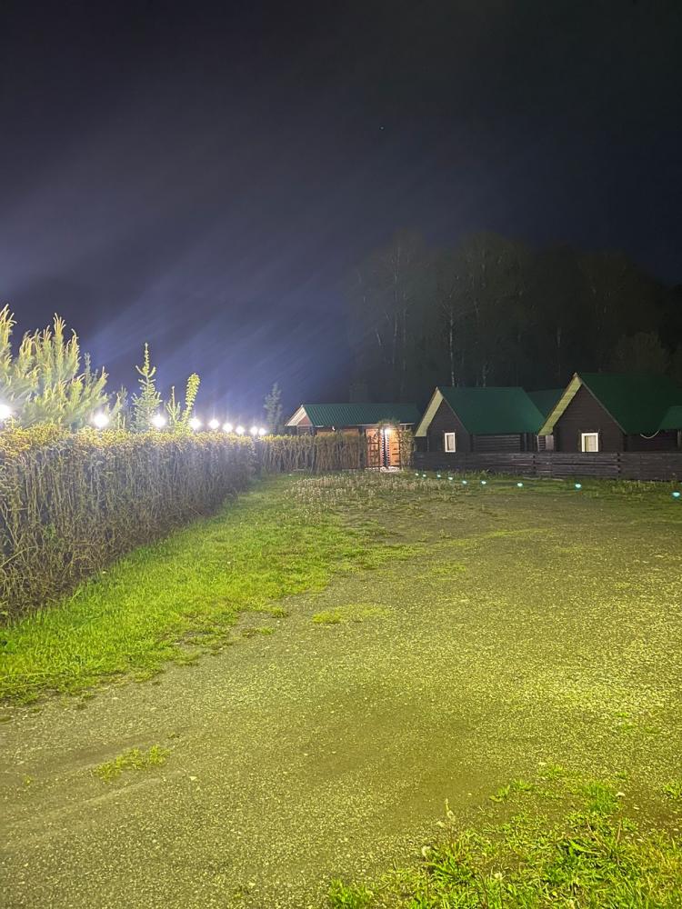 База отдыха "Кедровая" Горный Алтай