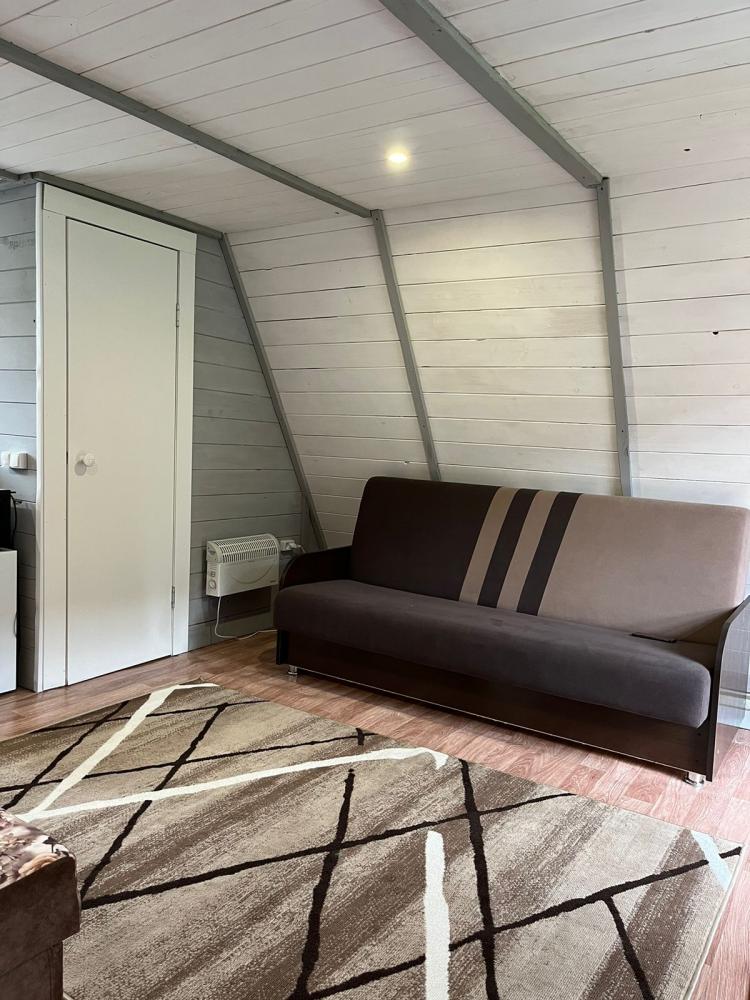 Дом с мини-кухней первый этаж