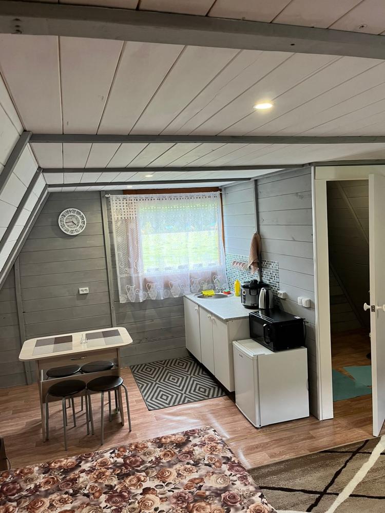 Дом с мини-кухней первый  этаж