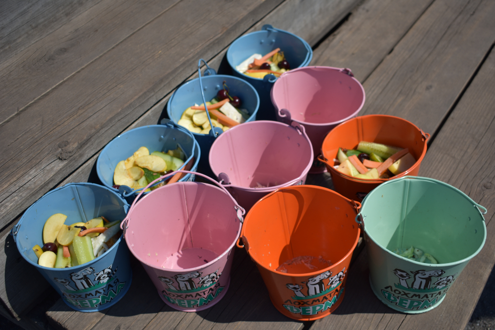 Лохматая ферма